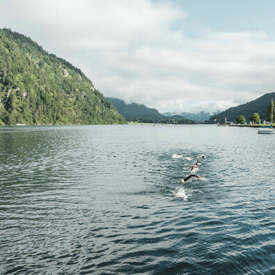 Long-distance swimmers cross Lake Achensee