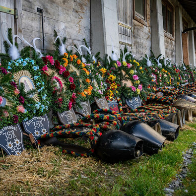 Schmuck des Almabtriebs der Gramai Alm Tagelang fertigen Bauern und Hirten Kopfschmuck an, der zumeist aus Blumen, bunten Bändern, Spruchtafeln oder Heiligenbildern besteht.