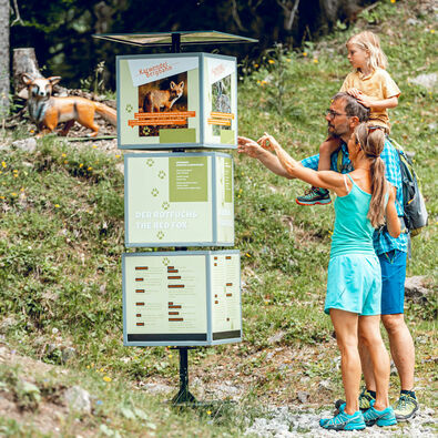 Alpine animals circular walk The alpine animals circular walk on the Zwölferkopf mountain is the perfect destination to go on a family hike.
