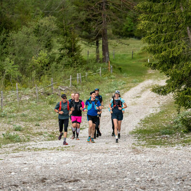 A group of runners out and about on gravel paths in the natural landscape of Lake Achensee.