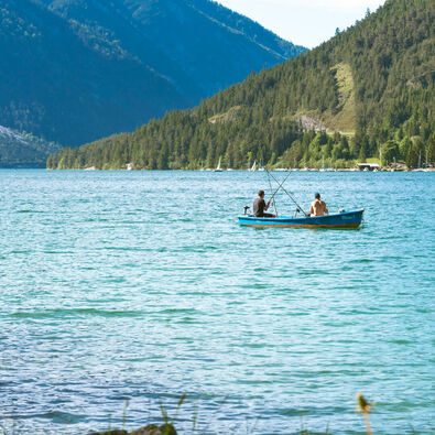 Fishing at Lake Achensee Home to a wide variety of fish species, Lake Achensee is a great destination for fishing enthusiasts.