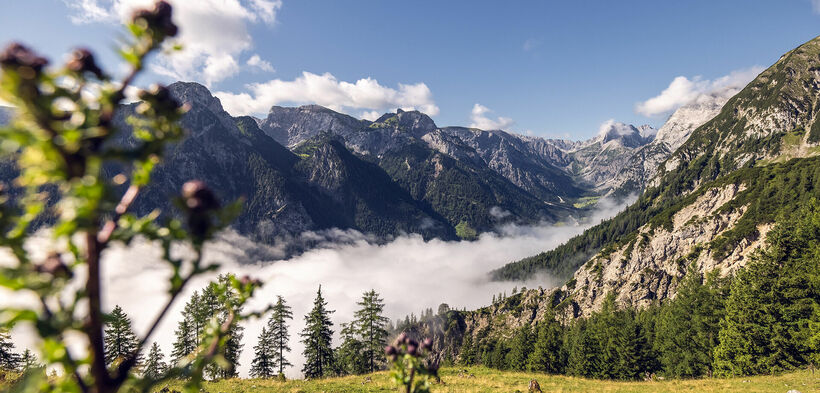 Nature Park Karwendel This photo captures the mystical atmosphere of the Nature Park Karwendel, a veil of mist hovering over the valleys.