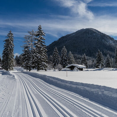 Cross-country ski trail in the Karwendel valleys in Pertisau am Achensee The Achensee region is one of the most popular cross-country skiing destinations in Tirol, boasting over 210 kilometres of groomed trails.