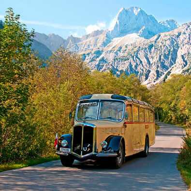 A ride on the vintage-style bus is a special experience.