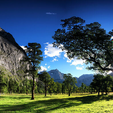 Der Ahornboden im Karwendelgebirge Der Panoramablick über den Ahornboden und seine Berglandschaft.