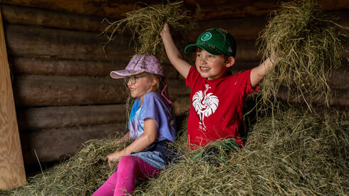 kinderprogramm-bauernhof-heustadl-achensee.jpg