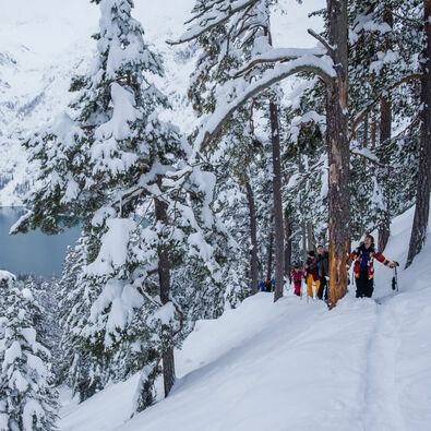 Participants of the Splitboard Festival on the off-piste with a view of Lake Achensee.