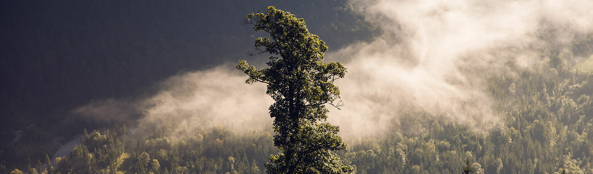 The Nature Park Karwendel has been named "Nature Park of the Year 2020".