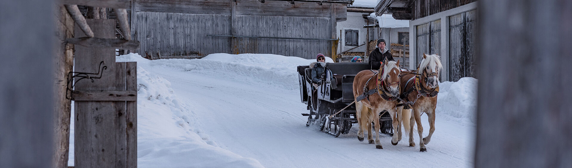 Horse-drawn sleigh ride at Lake Achensee Horse-drawn sleigh rides are a great way to discover the surroundings of Lake Achensee off the ski slopes.