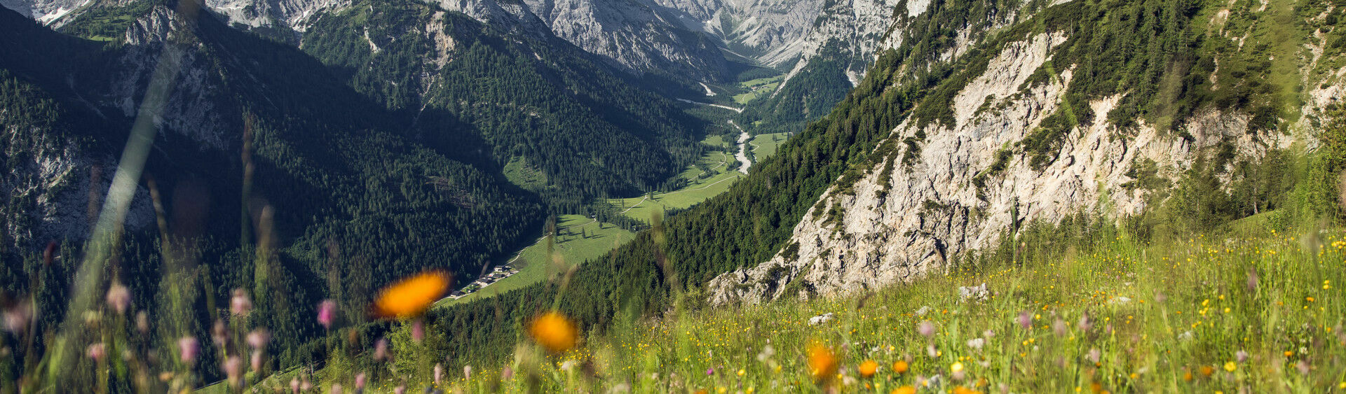 Das Falzthurntal im Naturpark Karwendel zeigt sich im Sommer von seiner schönsten Seite: Hohe, schroffe Berge ragen empor, umgeben von bunten Wiesen und malerischen Waldlandschaften.