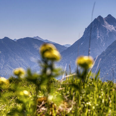 Natural landscape at Lake Achensee with a view to the guffert