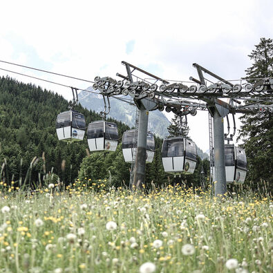 Karwendel-Bergbahn Die Karwendel Bergbahn über einem Blumenfeld im Sommer kurz nachdem sie die Bodenstation verlassen hat.