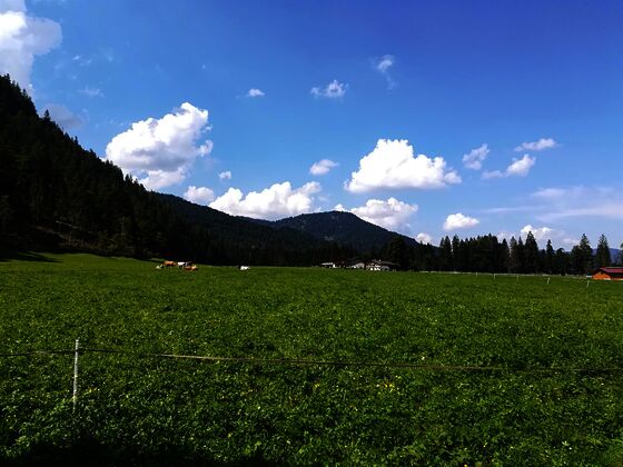 Ferienwohnung Hinterwinkl