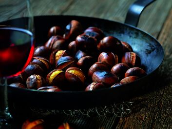 Törggelen am Schiff