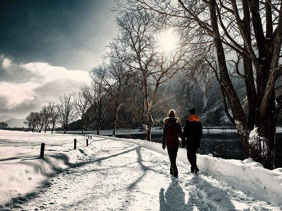 Cabin8 Alpine Flair Apartments