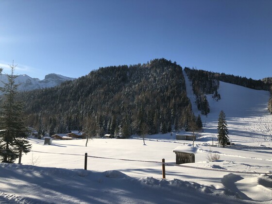 Apartment Silberwald