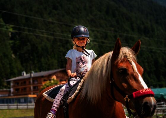 Das Leben ist ein Ponyhof