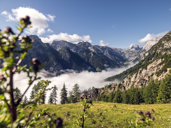 Bergerlebnis Achensee